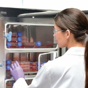 Service-pa-Inkubatorer Service av Inkubatorer