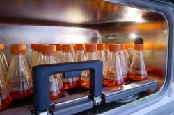 Labteamet_New-Brunswick_CO2-Incubators_CellXpert-CS220_product-1