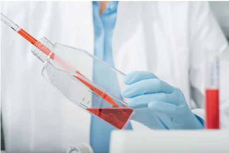 Eppendorf - Cell Culture Flasks