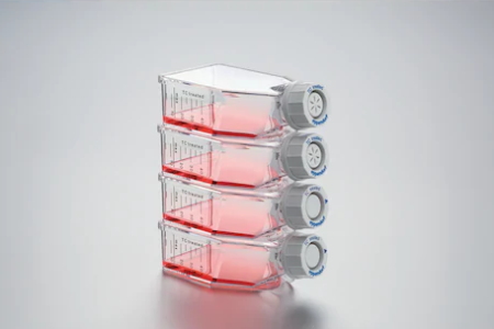 Eppendorf - Cell Culture Flasks