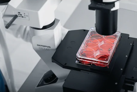 Eppendorf - Cell Culture Plates