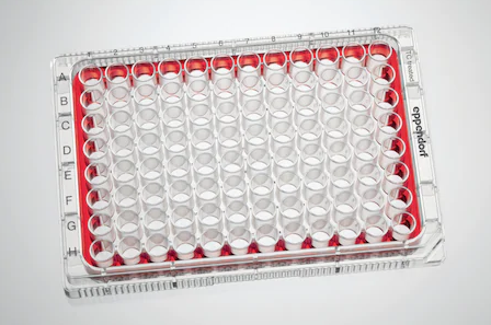 Eppendorf - Cell Culture Plates