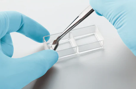 Eppendorf-Cell_Imaging_Slides_and_Coverglasses