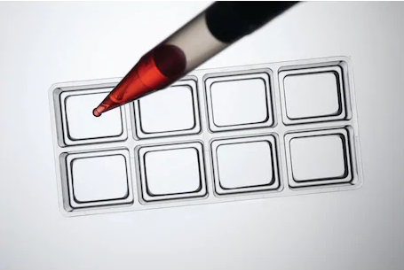 Eppendorf-Cell_Imaging_Slides_and_Coverglasses