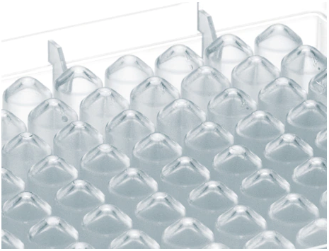 Eppendorf - Deepwell Plates