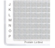 Eppendorf - Protein LoBind Plates