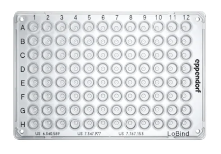 Eppendorf - twin.tec® PCR Plates LoBind