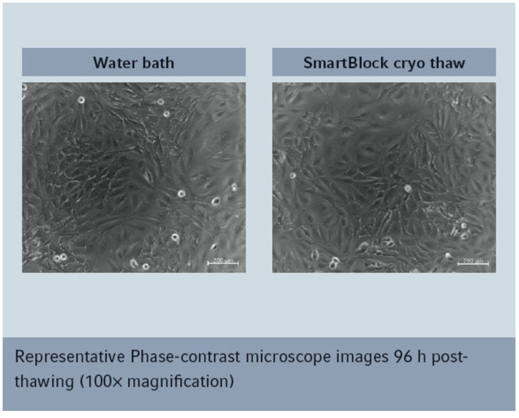 Labteamet__Clean-and-secure-cell-thawing-1