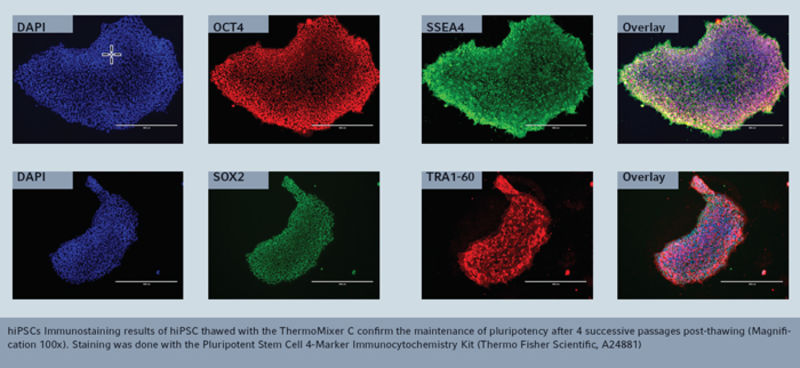 Labteamet__Clean-and-secure-cell-thawing