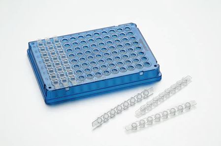 PCR-cap-strips