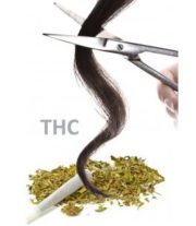 FORENSIS GC-MS-hair analysis Cannabis 1_1